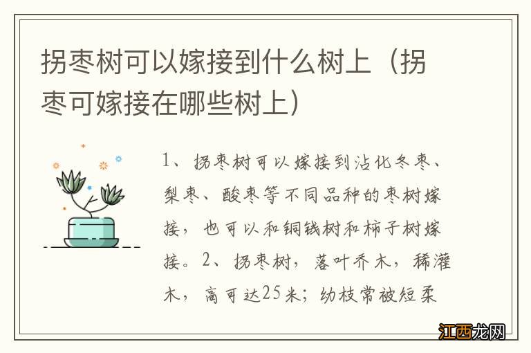 拐枣可嫁接在哪些树上 拐枣树可以嫁接到什么树上