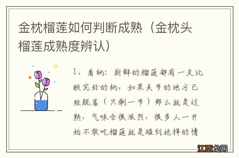 金枕头榴莲成熟度辨认 金枕榴莲如何判断成熟