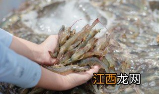 明虾家常最简单做法 明虾如何制作才好吃