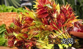 椿芽好吃吗 怎样挑选椿芽好吃