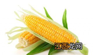 玉米烙的做法视频 玉米烙的做法