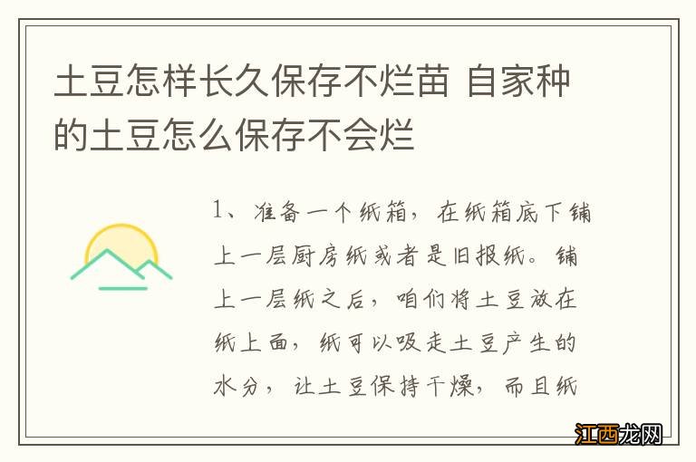 土豆怎样长久保存不烂苗 自家种的土豆怎么保存不会烂