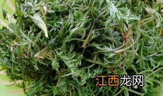 新鲜白蒿的正确吃法大全 新鲜白蒿的正确吃法