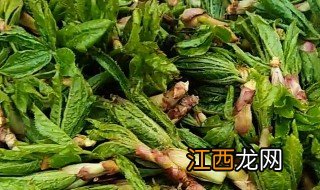 新鲜的刺五加怎么吃 新鲜刺五加食用方法