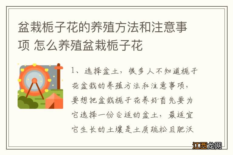 盆栽栀子花的养殖方法和注意事项 怎么养殖盆栽栀子花