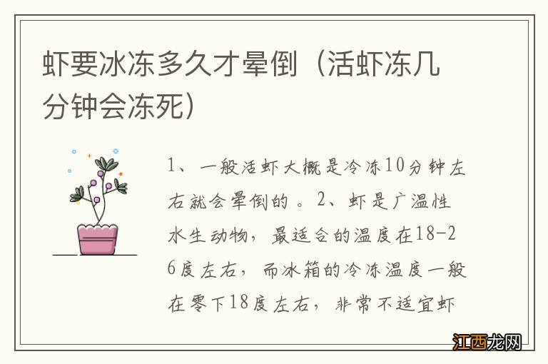 活虾冻几分钟会冻死 虾要冰冻多久才晕倒