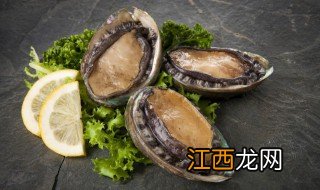 冻鲍鱼煮多长时间能熟 冰冻鲍鱼煮多久才熟透