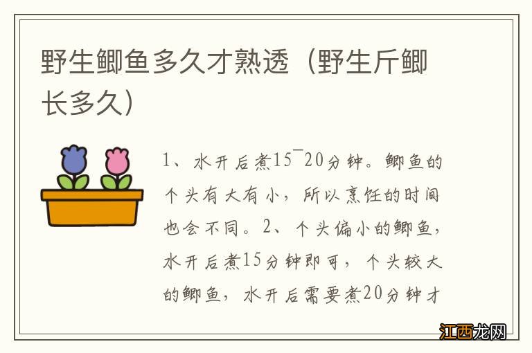 野生斤鲫长多久 野生鲫鱼多久才熟透