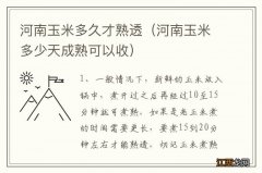 河南玉米多少天成熟可以收 河南玉米多久才熟透