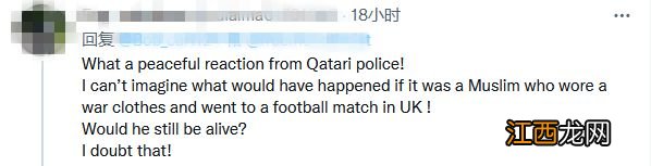 打扮成十字军模样，英格兰球迷被卡塔尔保安“叉”出去了