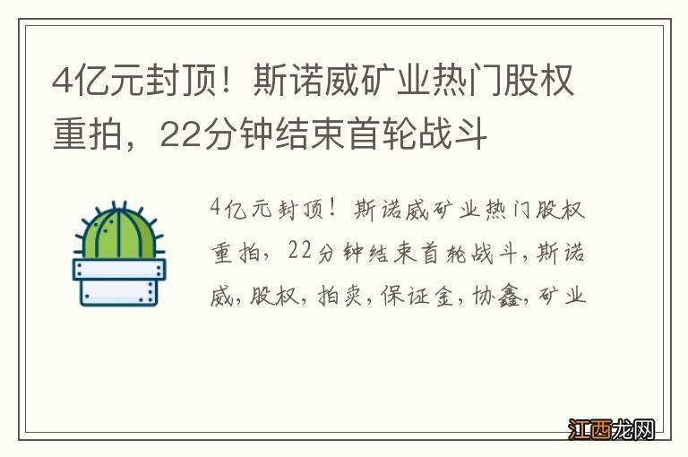 4亿元封顶！斯诺威矿业热门股权重拍，22分钟结束首轮战斗