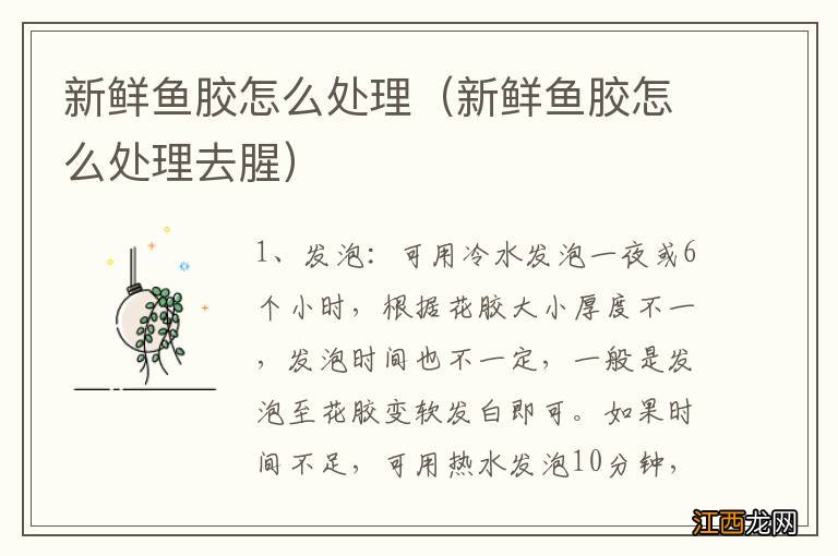 新鲜鱼胶怎么处理去腥 新鲜鱼胶怎么处理