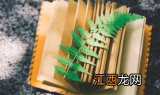 秦国历代国君及姓名是什么 秦国历史帝王表排名