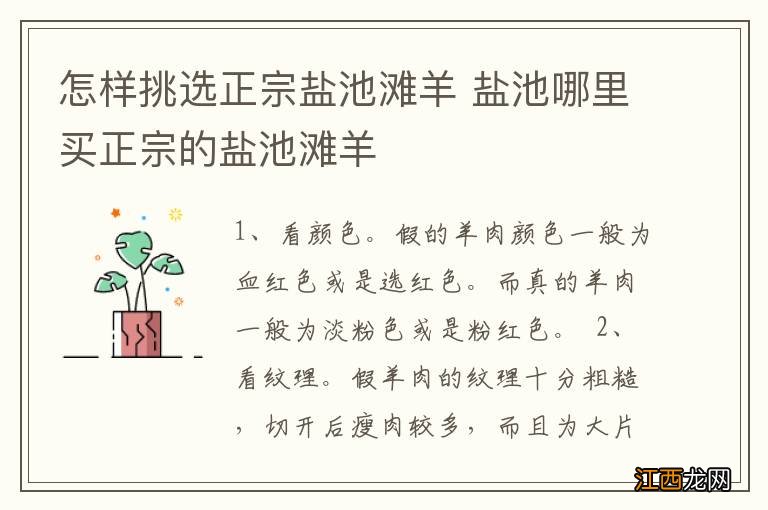 怎样挑选正宗盐池滩羊 盐池哪里买正宗的盐池滩羊