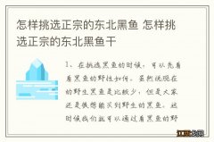 怎样挑选正宗的东北黑鱼 怎样挑选正宗的东北黑鱼干