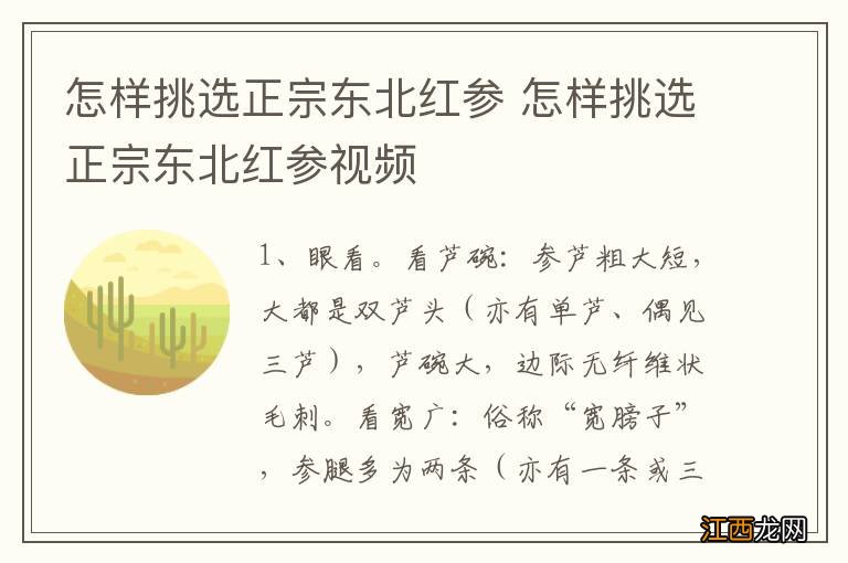 怎样挑选正宗东北红参 怎样挑选正宗东北红参视频
