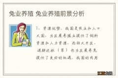 兔业养殖 兔业养殖前景分析