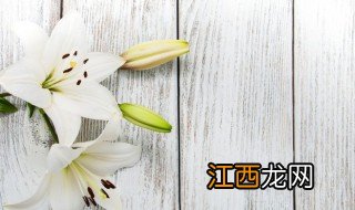 新鲜的百合花食用方法和用量 新鲜的百合花食用方法