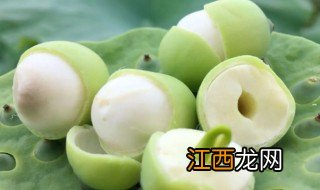 新鲜莲子食用方法 鲜莲子的食用方法和做法