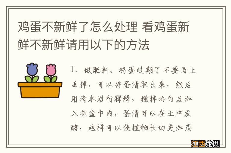 鸡蛋不新鲜了怎么处理 看鸡蛋新鲜不新鲜请用以下的方法