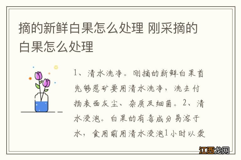 摘的新鲜白果怎么处理 刚采摘的白果怎么处理