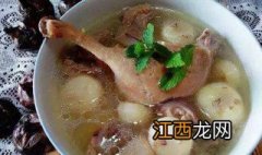 钝鸭子汤怎么炖好吃 钝鸭子汤怎么炖