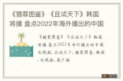 《猎罪图鉴》《且试天下》韩国将播 盘点2022年海外播出的中国电视剧