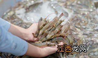 家常油焖大虾简单做法窍门是什么 家常油焖大虾简单做法窍门