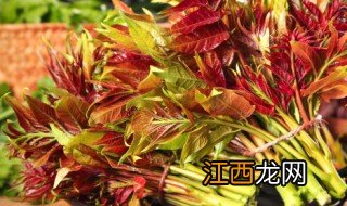 椿芽怎样保鲜 椿树嫩芽怎么保鲜