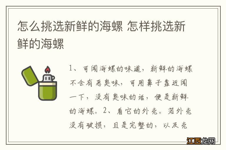 怎么挑选新鲜的海螺 怎样挑选新鲜的海螺