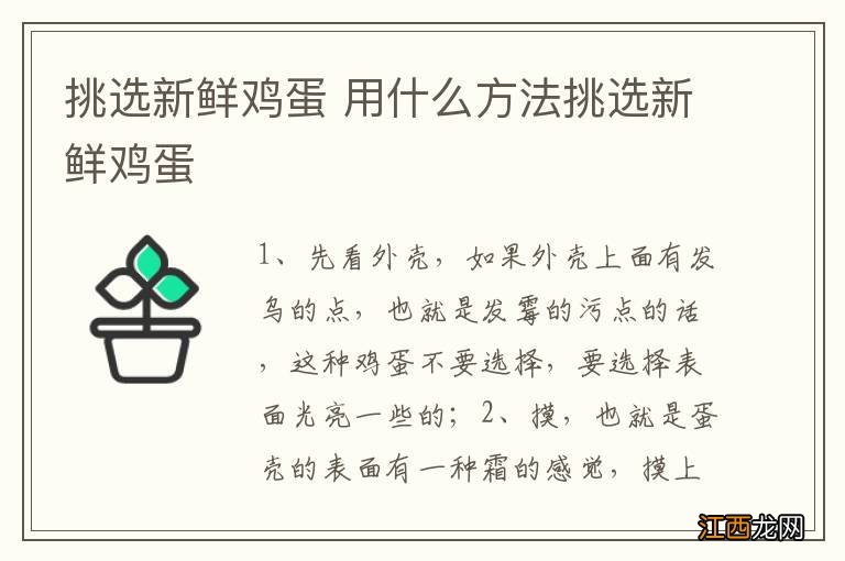 挑选新鲜鸡蛋 用什么方法挑选新鲜鸡蛋