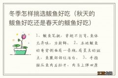 冬季怎样挑褆延愫贸裕ㄇ锾斓啮延愫贸曰故谴禾斓啮延愫贸裕?