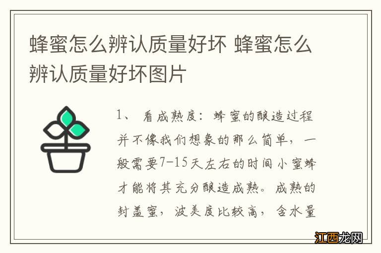 蜂蜜怎么辨认质量好坏 蜂蜜怎么辨认质量好坏图片