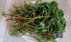 马齿苋的5种做法大全 马齿苋的5种做法