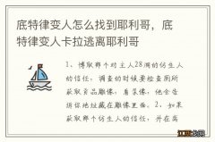 底特律变人怎么找到耶利哥，底特律变人卡拉逃离耶利哥