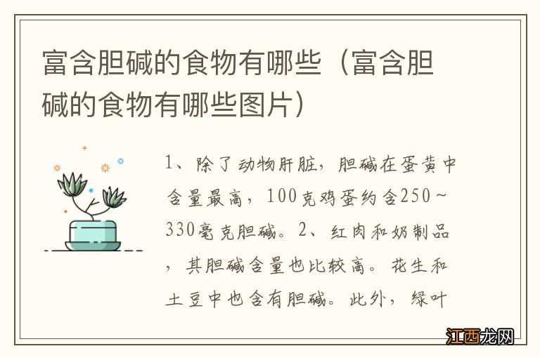 富含胆碱的食物有哪些图片 富含胆碱的食物有哪些