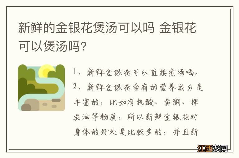 新鲜的金银花煲汤可以吗 金银花可以煲汤吗?