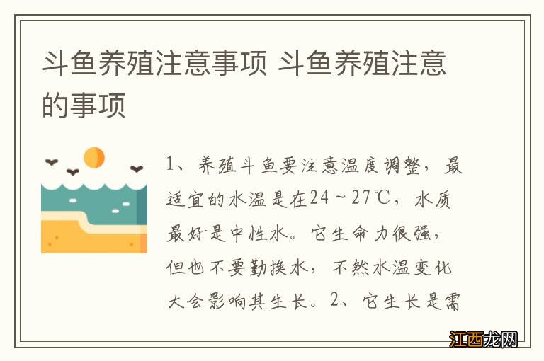 斗鱼养殖注意事项 斗鱼养殖注意的事项