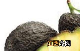 牛油果油如何食用 牛油果油怎么吃