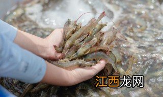 爆炒虾子做法 爆炒虾子怎么做