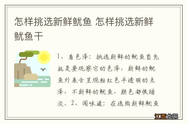 怎样挑选新鲜鱿鱼 怎样挑选新鲜鱿鱼干