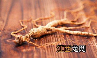 人参是什么科植物 人参属植物有哪些