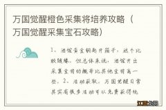 万国觉醒采集宝石攻略 万国觉醒橙色采集将培养攻略