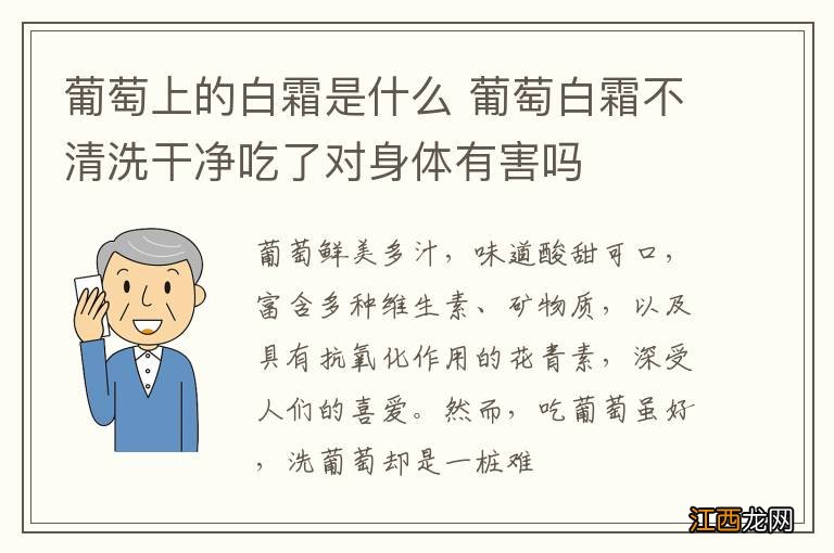 葡萄上的白霜是什么 葡萄白霜不清洗干净吃了对身体有害吗