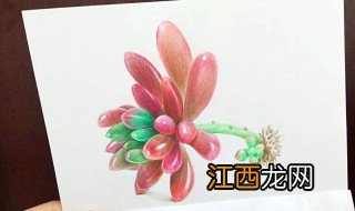 彩铅画自学教程 彩铅教程