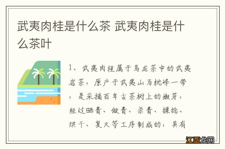 武夷肉桂是什么茶 武夷肉桂是什么茶叶