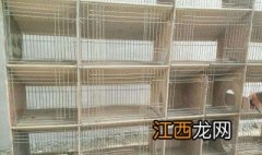 怎样用瓷砖做兔笼视频 怎样用瓷砖做兔笼