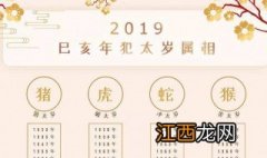 2019运势生肖运势详解麦玲玲 2019运势生肖运势详解