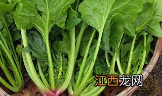 菠菜常见类型与品种有哪些 菠菜的品种类型