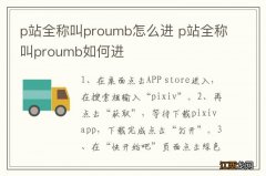 p站全称叫proumb怎么进 p站全称叫proumb如何进